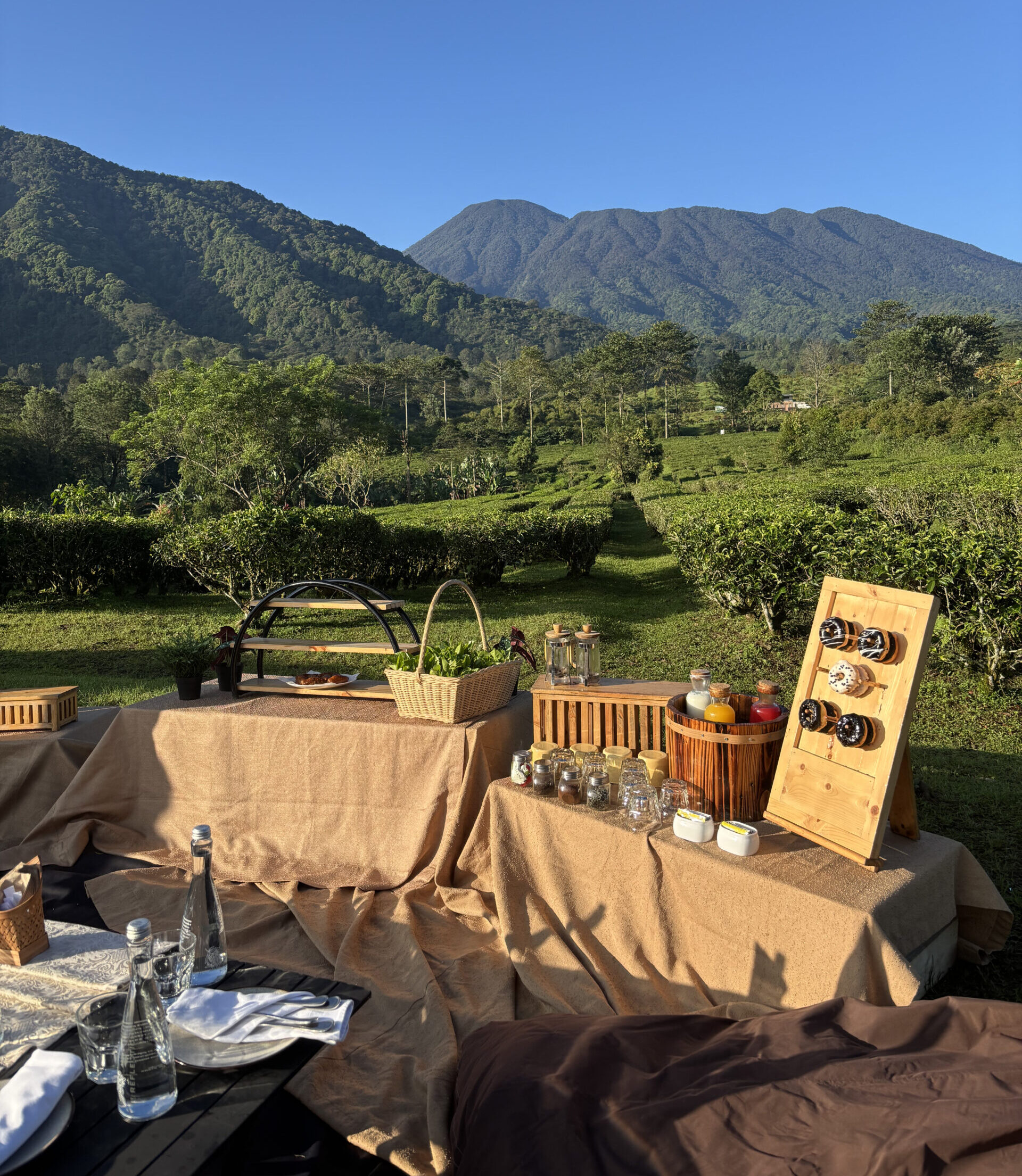 Sarapan pagi di tengah kebun teh dengan pemandangan lanskap hijau.