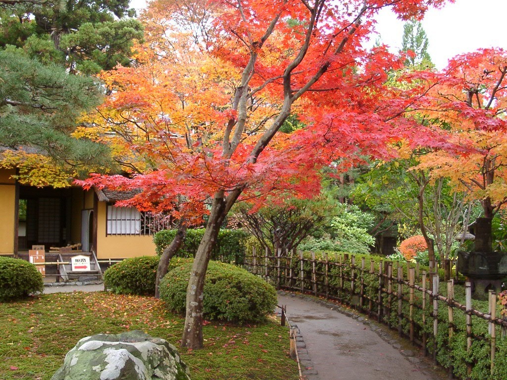 Wisatawan bisa berhenti di Rinkaku Teahouse untuk menikmati teh di area Tsuruga Castle.