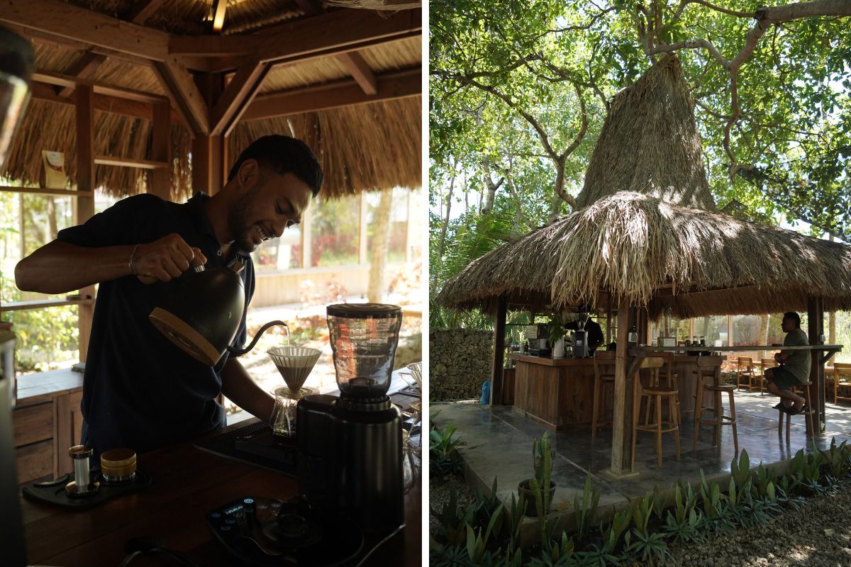 Barista lokal di Talasi Coffee tengah menyeduh kopi; suasana teduh di Talasi.