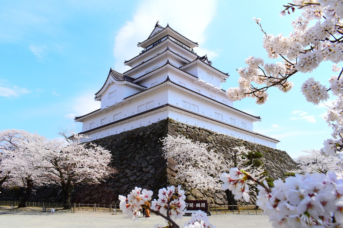 Tempat wajib untuk dikunjungi saat berada di Aizu adalah Tsuruga Castle.