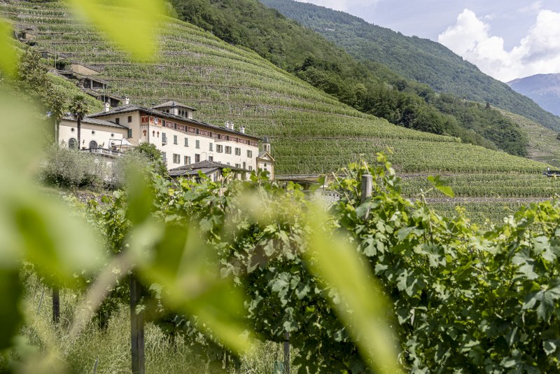 La Gatta Winery dalam perjalanan Bernina Express Pullman Class.