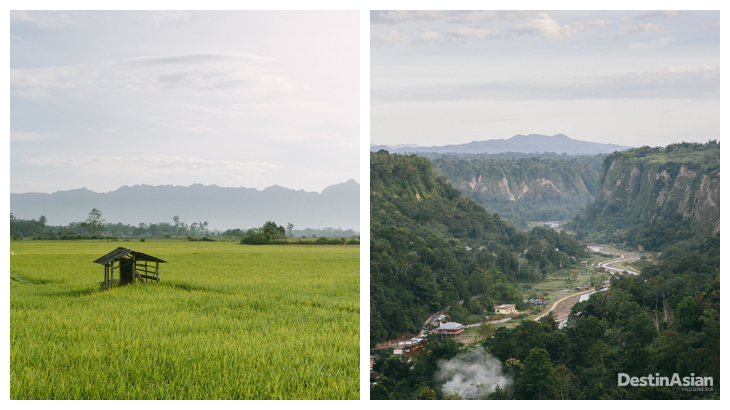 Kiri-kanan: Sawah, pemandangan yang jamak ditemukan di Bukittinggi; pemandangan Ngarai Sianok.