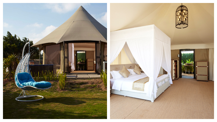 Kiri-kanan: Desain tenda Canopi Resort Bintan; Ukuran kamarnya cukup luas.