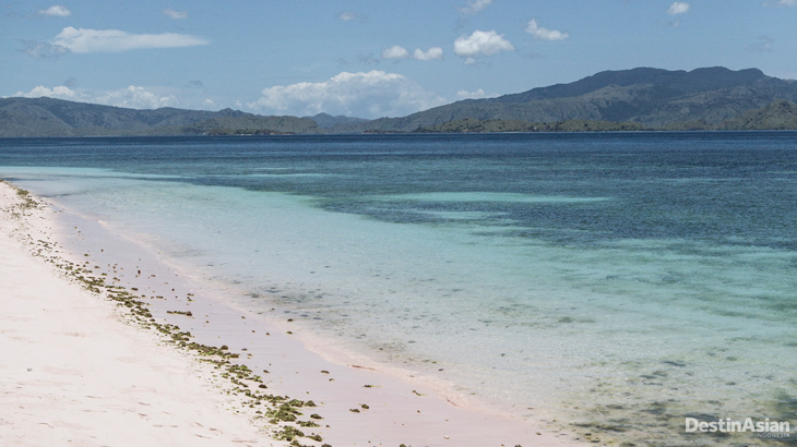 Pantai berwarna jambon di Pulau Padar. (Foto oleh Putu Sayoga).