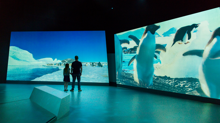 antartic journey, phillip island