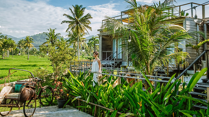 Penginapan untuk para peselancar
