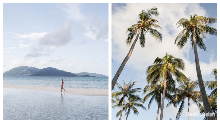 Kiri-kanan: Pemandangan cantik Karimunjawa; Pepohonan kelapa di kawasan pantai.